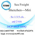 Shenzhen porto mare che spediscono a Miri